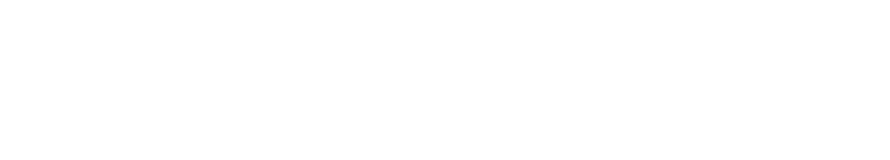 人的資本開示の実態